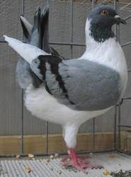 s5001014.jpg