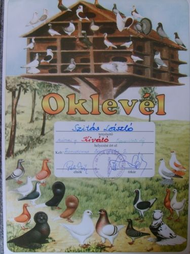 galambok_073.jpg galambok_073.jpg