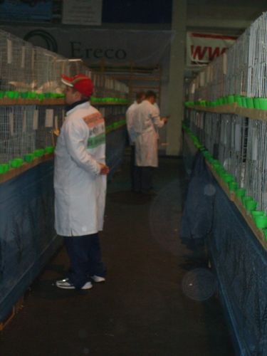 s5002952.jpg s5002952.jpg