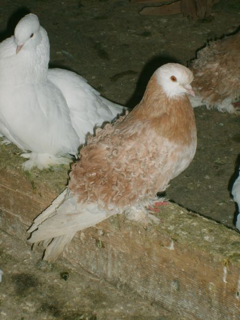 s5002963.jpg