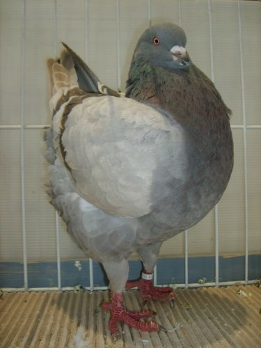 s5003303.jpg