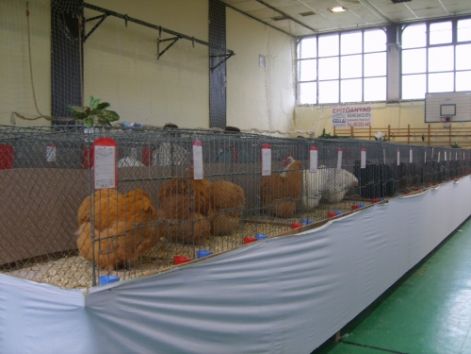 s5003310.jpg