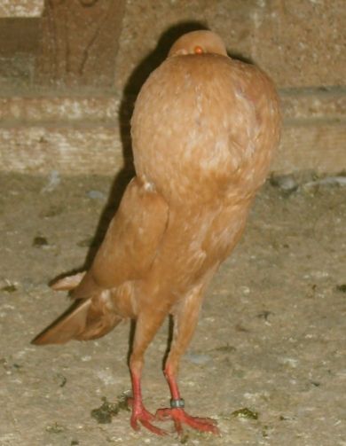 s5003474.jpg